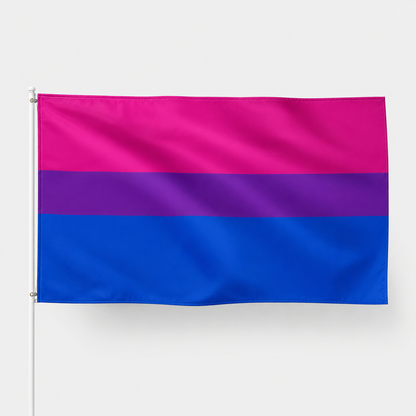 BANDERAS LGTB