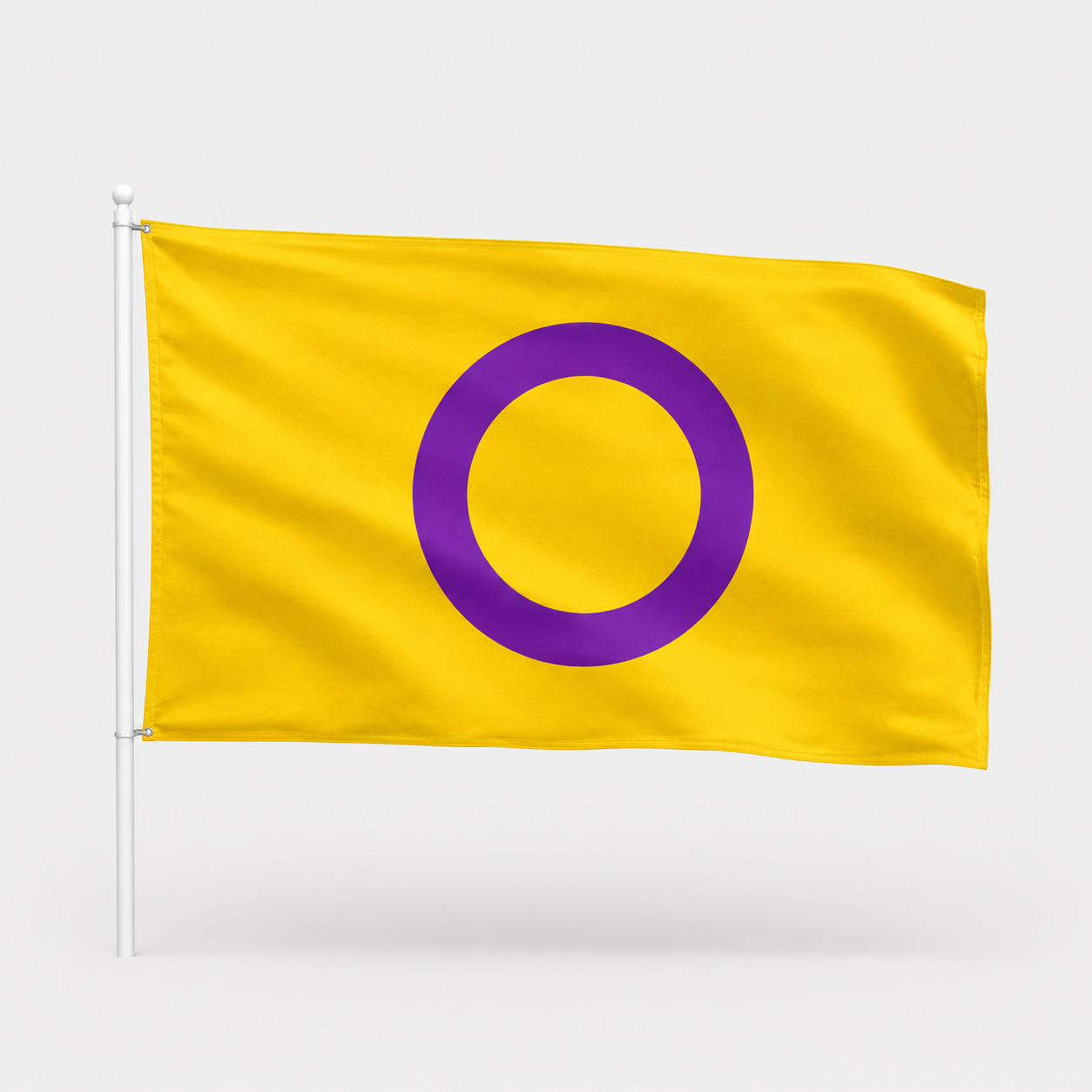 BANDERAS LGTB