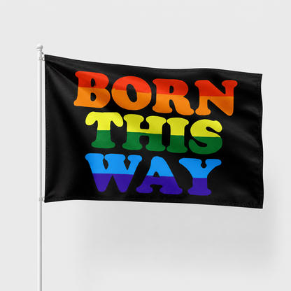 BANDERAS LGTB